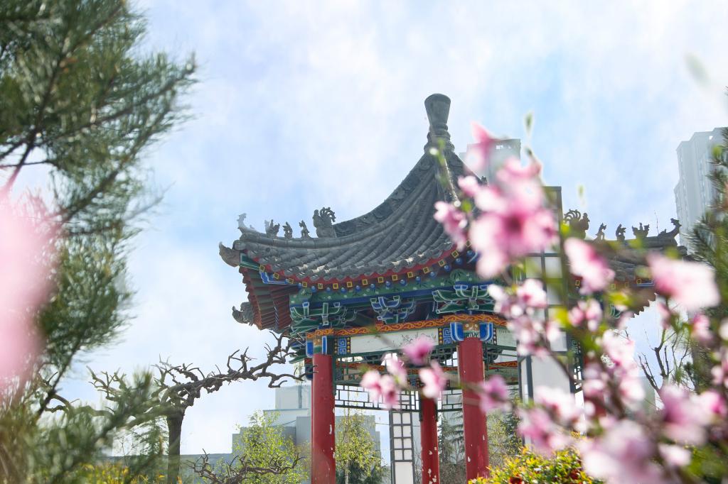 精准掌握沙巴足球体育平台官方渠道思想